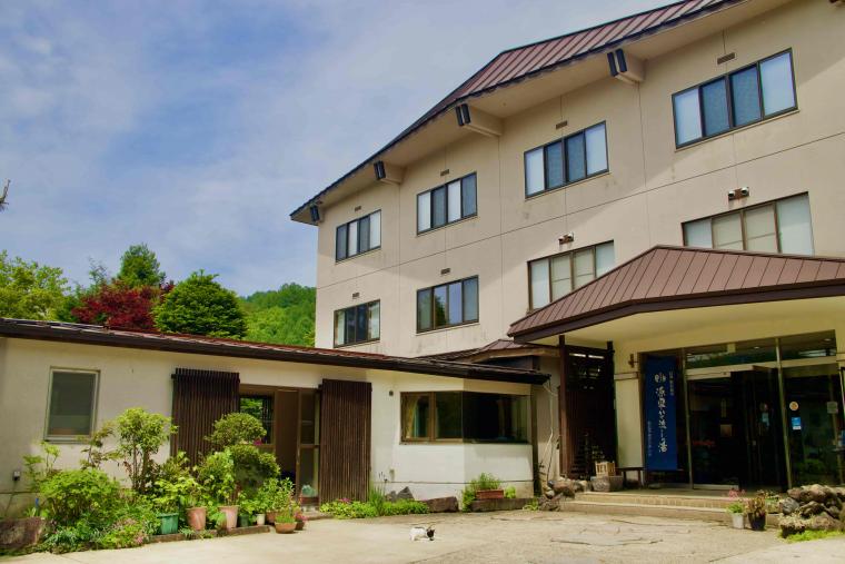 看板猫ランキング１位のハチは今日も元気120％でお客様をおもてなし！？