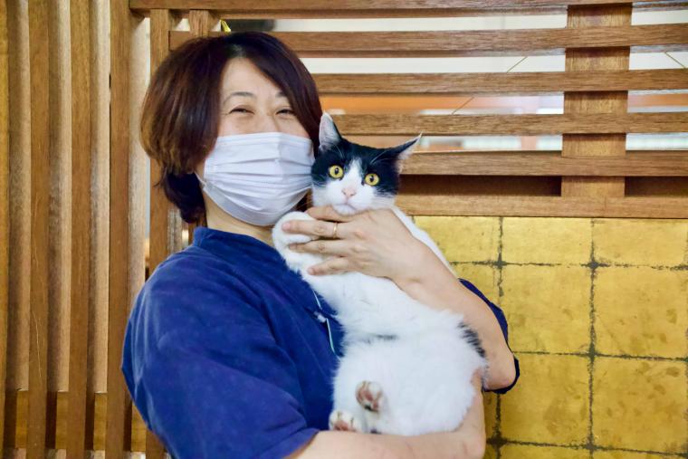 看板猫ランキング１位のハチは今日も元気120％でお客様をおもてなし！？