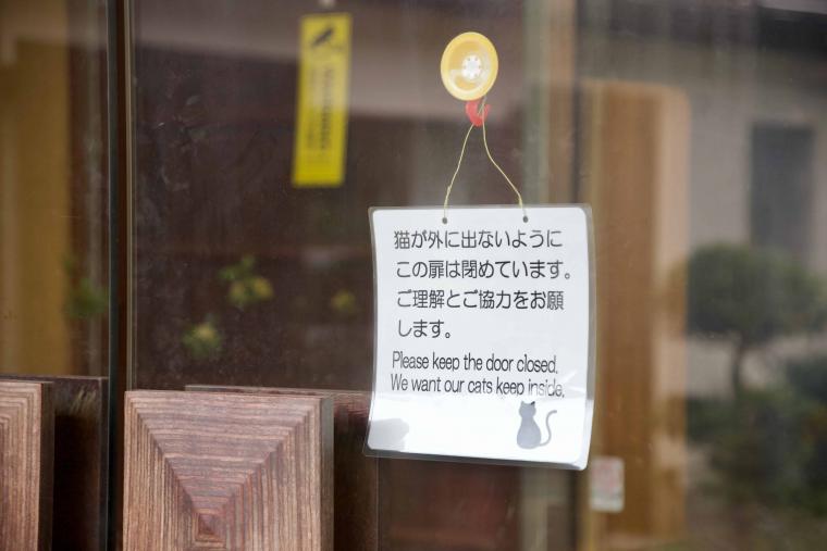 看板猫ランキング１位のハチは今日も元気120％でお客様をおもてなし！？