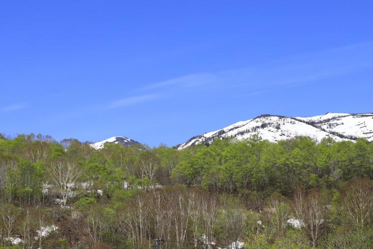 「苗場ドラゴンドラ」の新緑営業