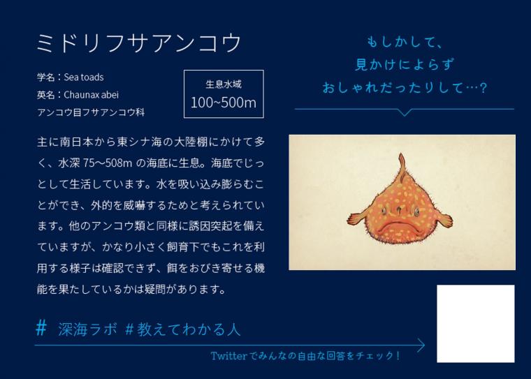 Twitterのハッシュタグも活用した魚名板