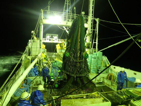 底びき網漁の様子