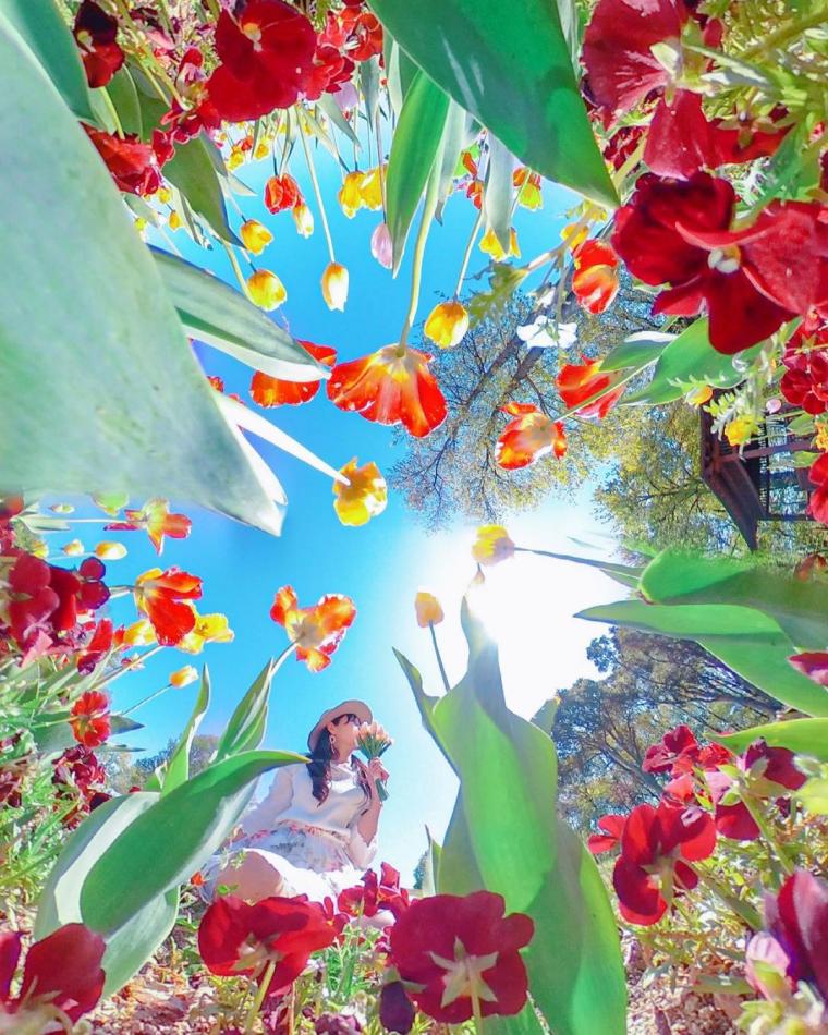 フォトコンテスト「フォトジェニックな旅」入賞作品・優秀作品発表！