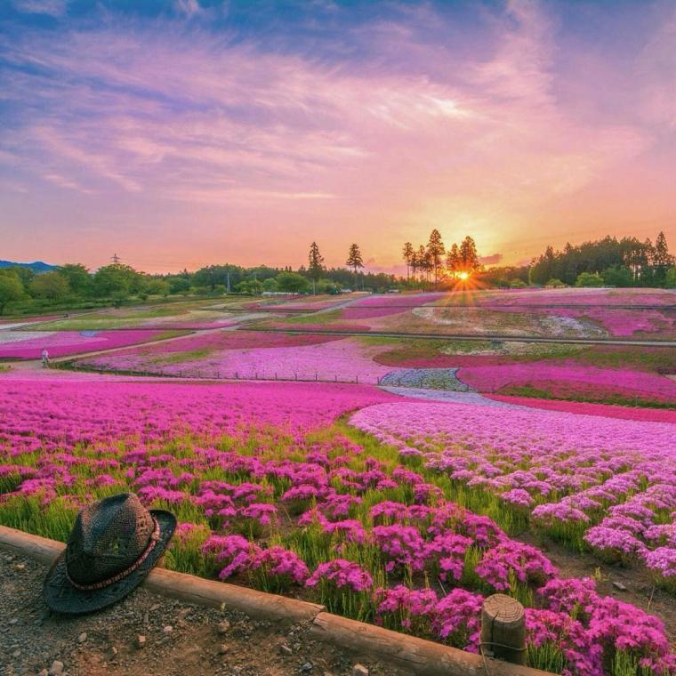 フォトコンテスト「フォトジェニックな旅」入賞作品・優秀作品発表！