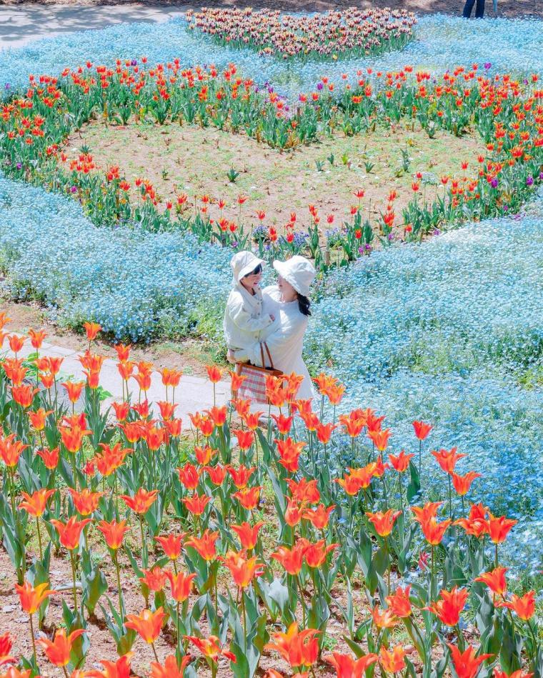 フォトコンテスト「フォトジェニックな旅」入賞作品・優秀作品発表！