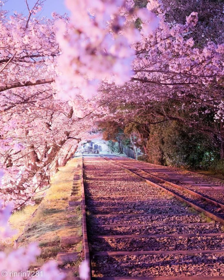 フォトコンテスト「フォトジェニックな旅」入賞作品・優秀作品発表！