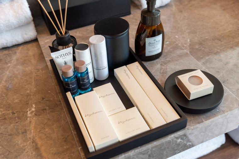 東山ニセコビレッジ・リッツ・カールトン・リザーブ　客室