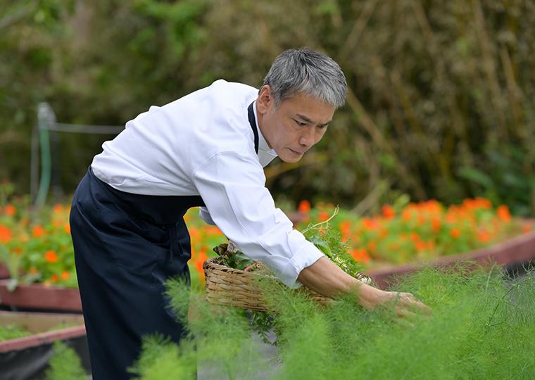 ジ・アッタテラス クラブタワーズ