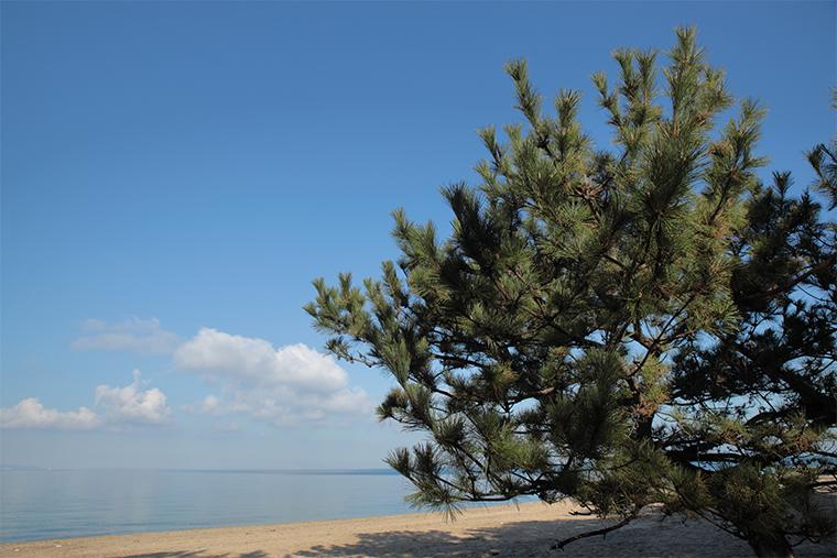 慶野松原海水浴場