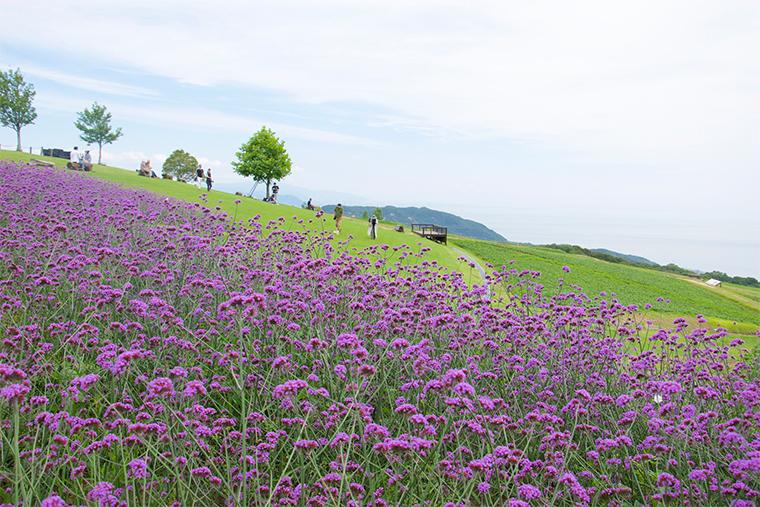 あわじ花さじき