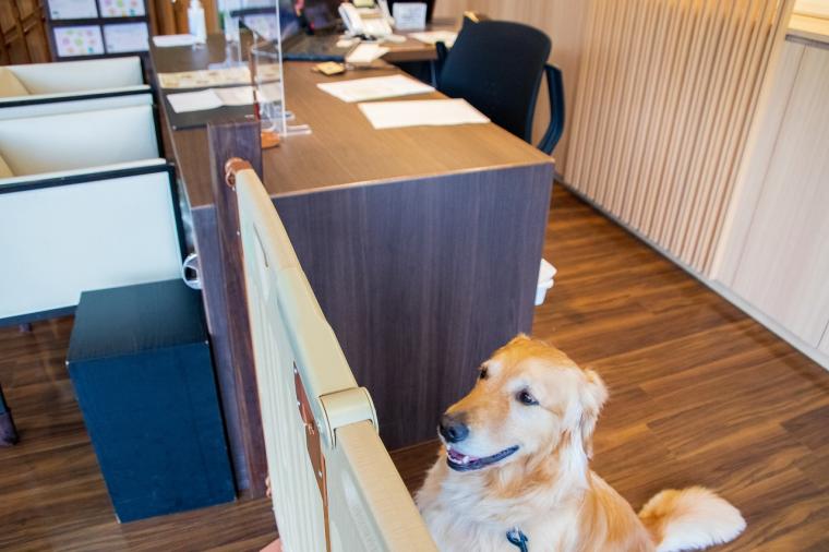 那須温泉ホテルエピナール那須　テラス棟