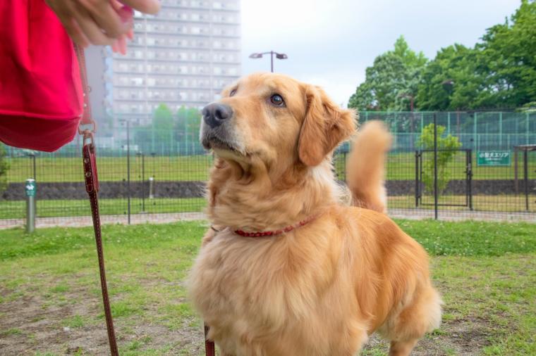 那須温泉ホテルエピナール那須