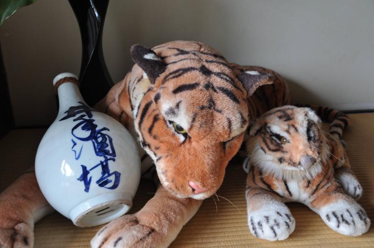 虎之児にちなんでトラのぬいぐるみが
