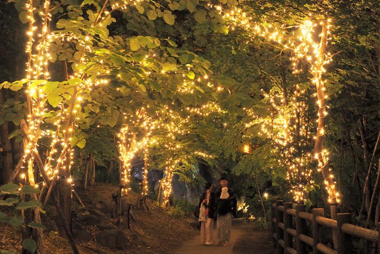 定山渓温泉 湯けむりルミナ
