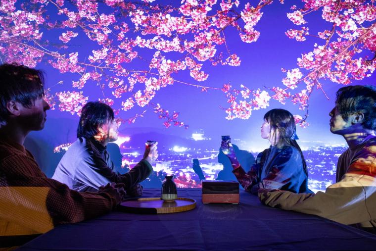 伊達スペクタクル