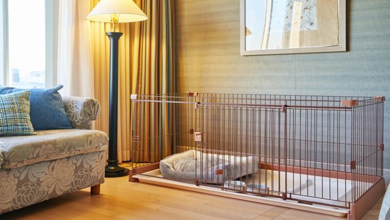 ドッグフレンドリールーム　ワンちゃん　アメニティ