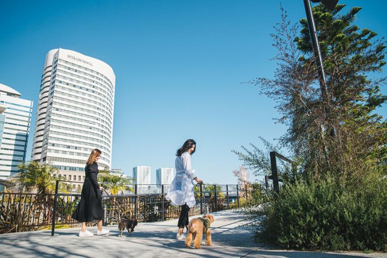 ホテル インターコンチネンタル 東京ベイ　ワンちゃん　お散歩コース