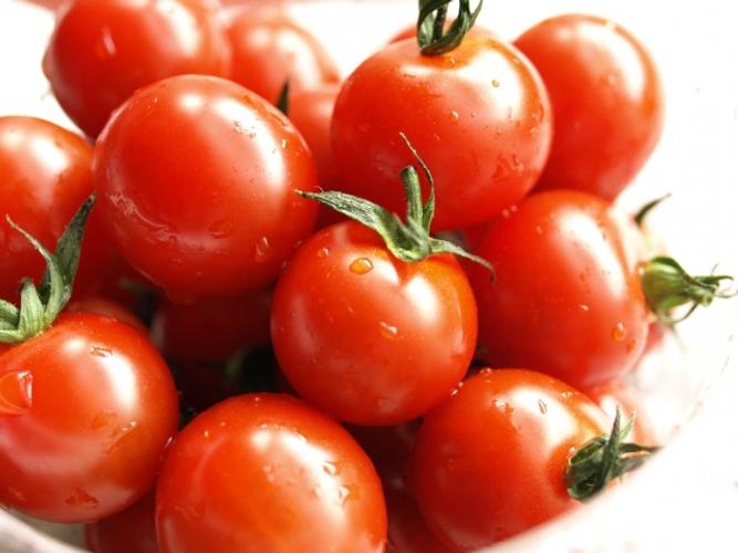 「わんわんDAY」の素敵なプレゼント