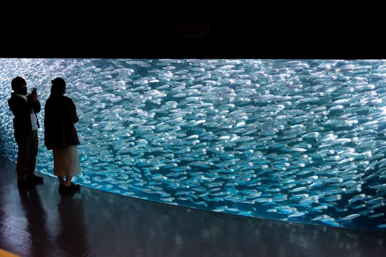 温泉の川が流れる「登別温泉」で街歩きと足湯旅