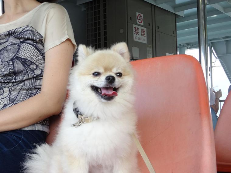 船内ではリードを必ず着用しましょう