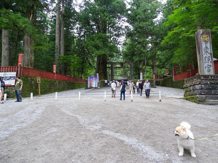 日光東照宮の敷地内はペット同伴可