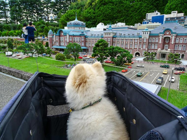 東武ワールドスクウェアではペットバギーがレンタルできる