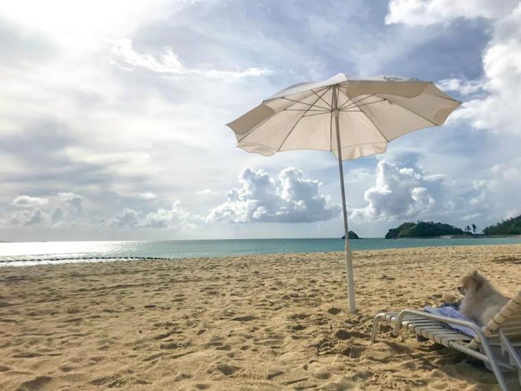 プライベートビーチ