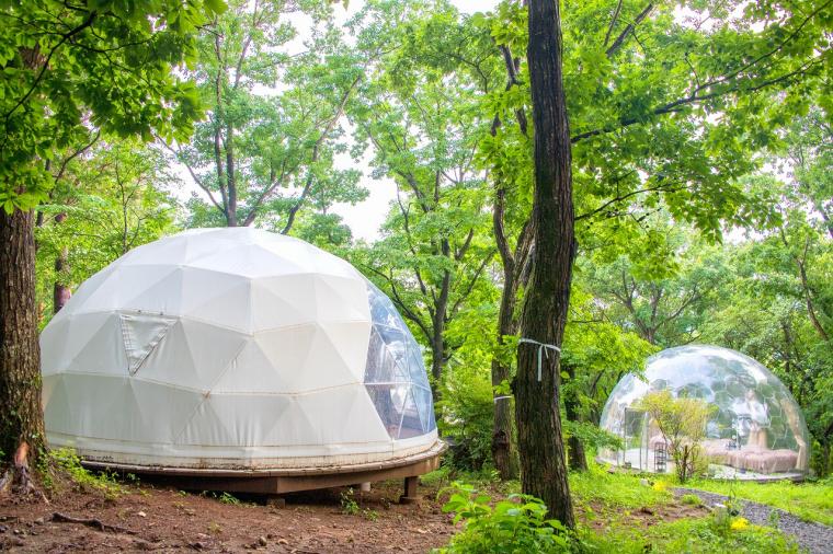 那須ハイランドパークオフィシャルホテル TOWAピュアコテージ