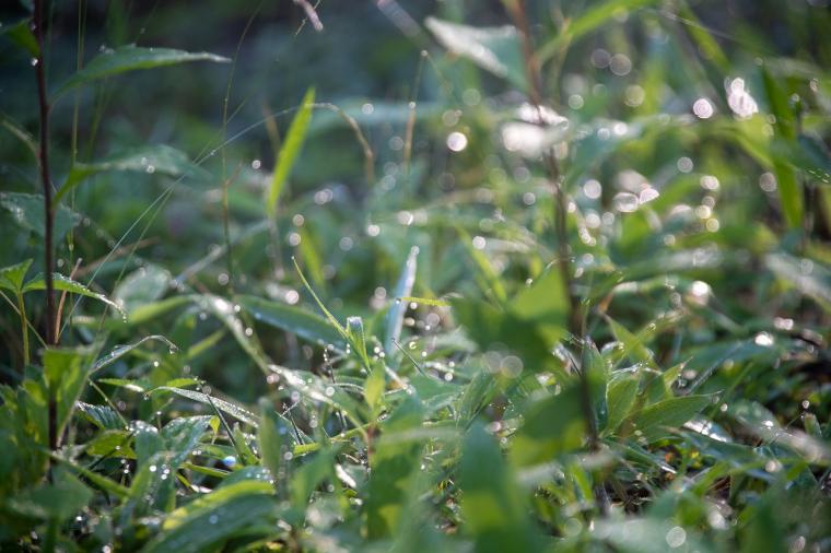 那須ハイランドパークオフィシャルホテル TOWAピュアコテージ