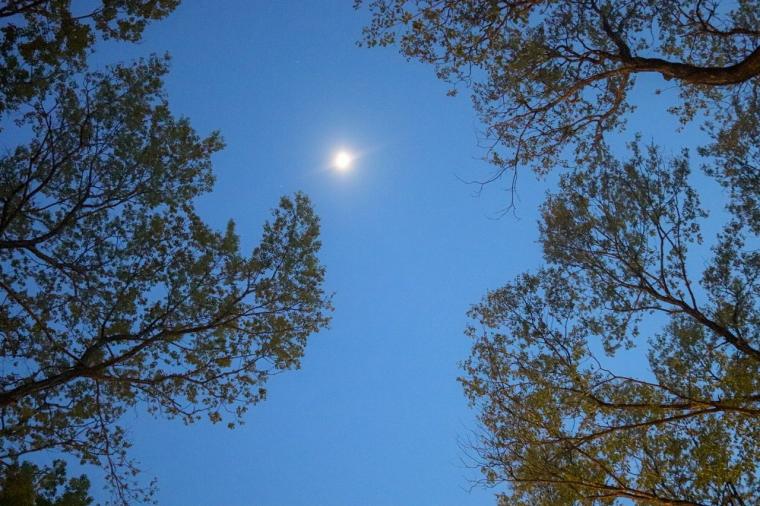 那須ハイランドパークオフィシャルホテル TOWAピュアコテージ