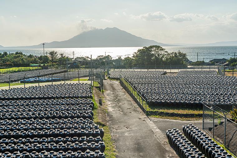 坂元のくろず「壺畑」レストラン