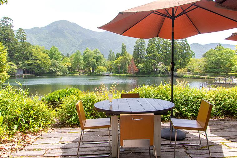 CAFE LA RUCHE （カフェラリューシュ）