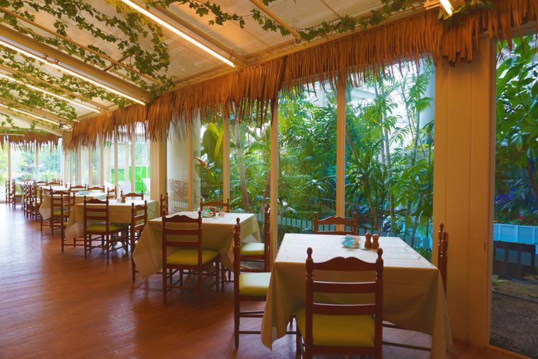 ハウステンボス　森のプール