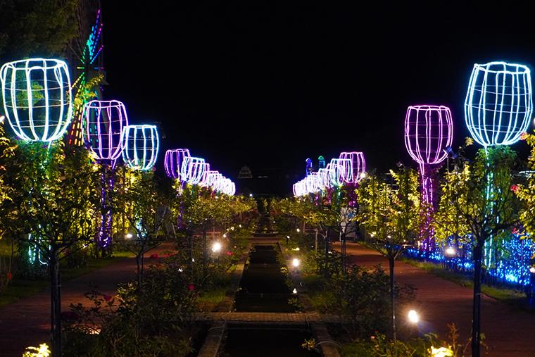 ハウステンボス　サマーフェスティバル　イルミネーション