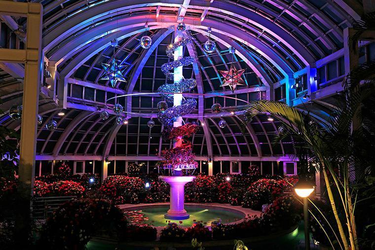 ハウステンボス　森のプール　ナイトプール