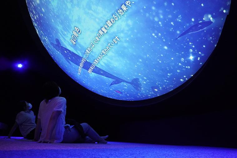 ハウステンボス　光のファンタジアシティ