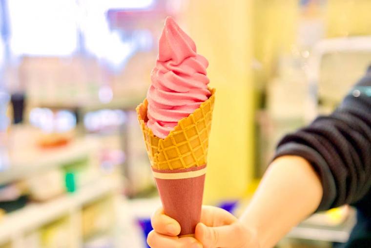 海&山のいいトコどり！電車・バスで巡る静岡・伊東温泉の1泊２日 おすすめモデルコース