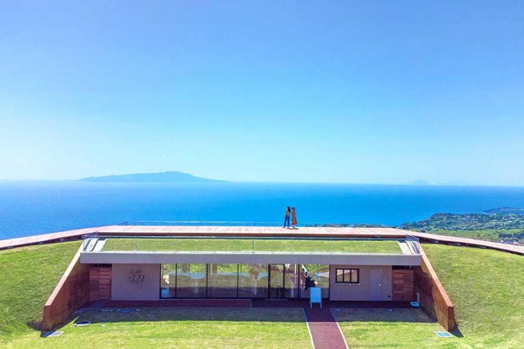 海&山のいいトコどり！電車・バスで巡る静岡・伊東温泉の1泊２日 おすすめモデルコース