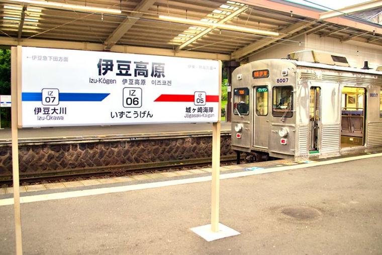 海&山のいいトコどり！電車・バスで巡る静岡・伊東温泉の1泊２日 おすすめモデルコース