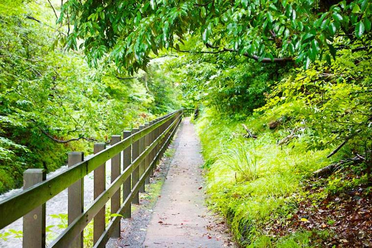 海&山のいいトコどり！電車・バスで巡る静岡・伊東温泉の1泊２日 おすすめモデルコース