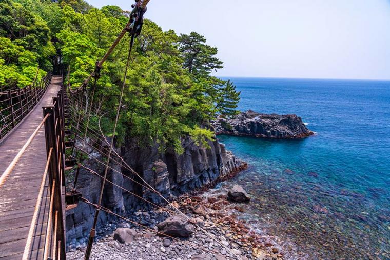 海&山のいいトコどり！電車・バスで巡る静岡・伊東温泉の1泊２日 おすすめモデルコース