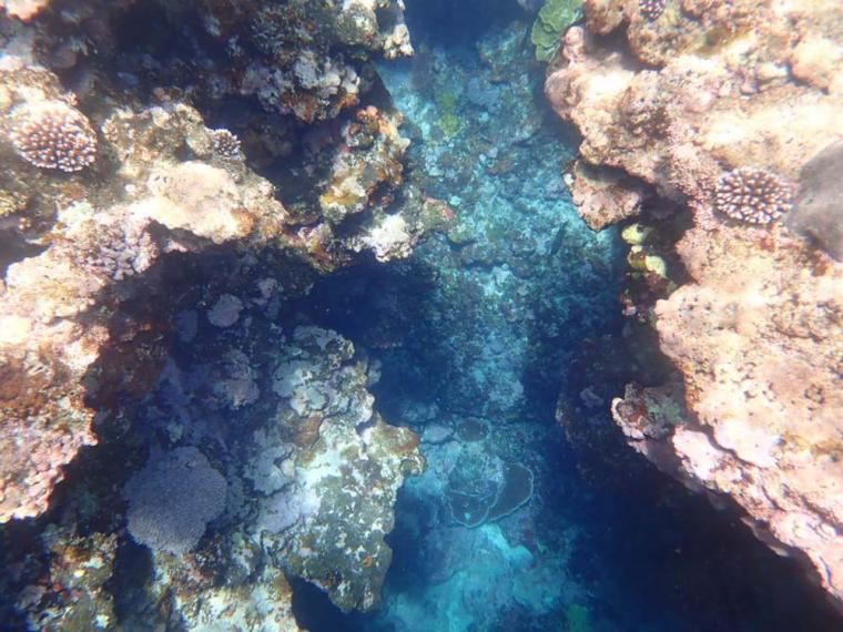 石垣島 青の洞窟