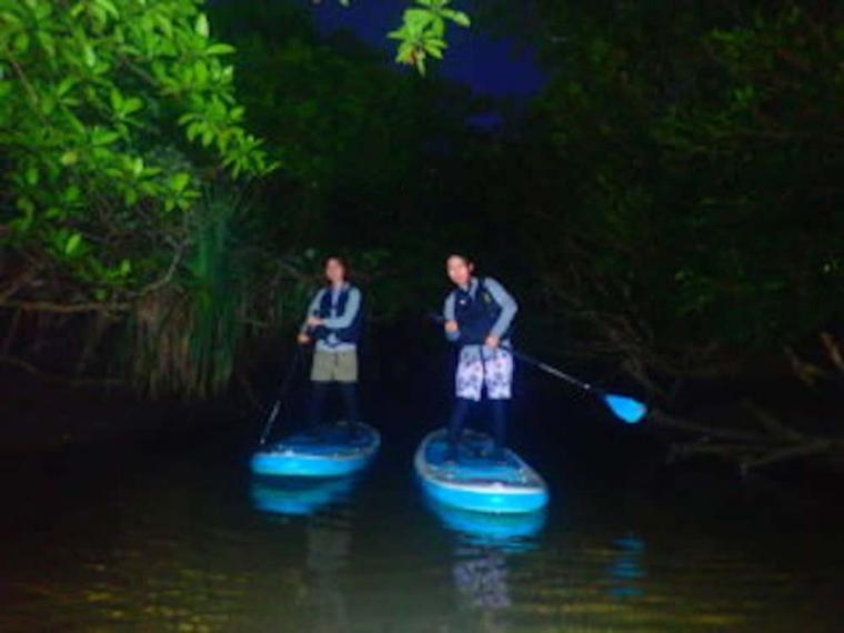 石垣島 SUPナイトクルージング