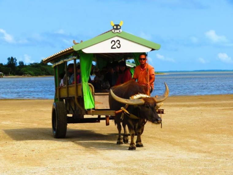 由布島 水牛車