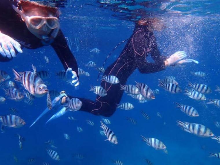 石垣島 シュノーケリング