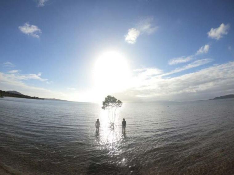 石垣島 シュノーケリング
