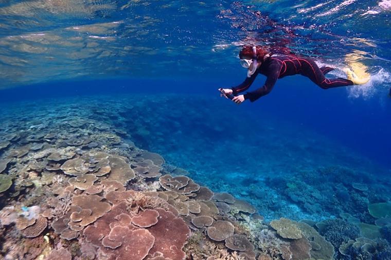 宮古島　ダイビング