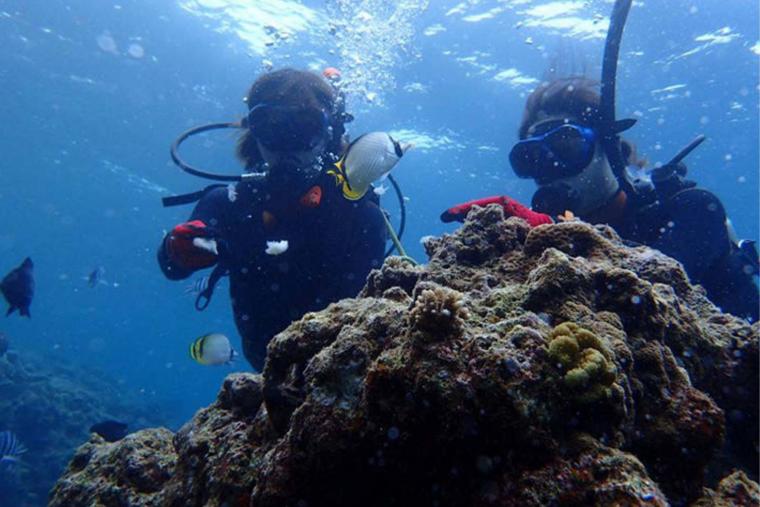 恩納村体験ダイビング