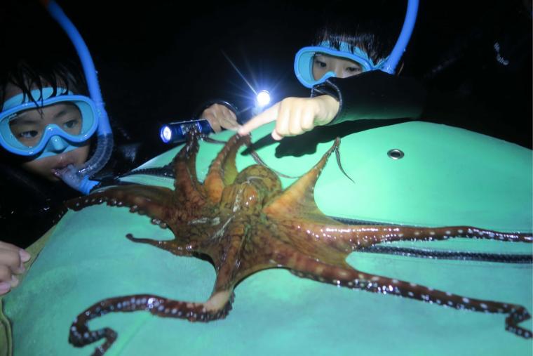 星空ツアー＆ナイトシュノーケリング