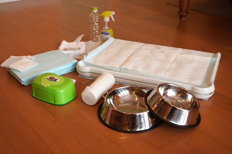 フォレストヴィラ　ドッグヴィラ